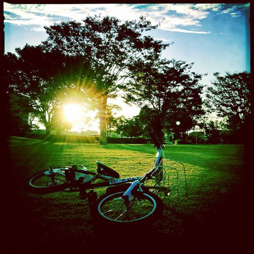 photo